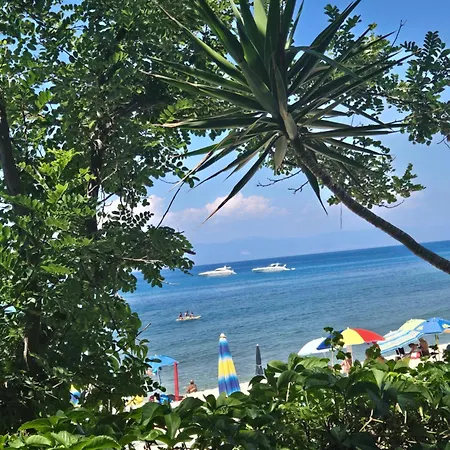 Bouganville Zambrone