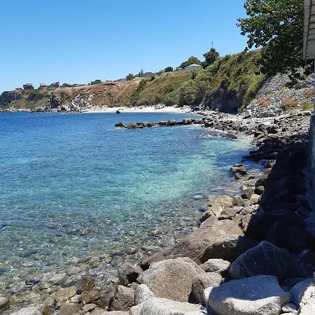 Bouganville