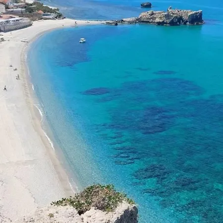 Bouganville *