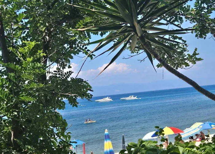 Bouganville Zambrone